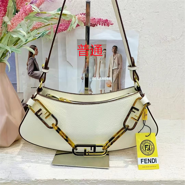 Fendi small bag-0244