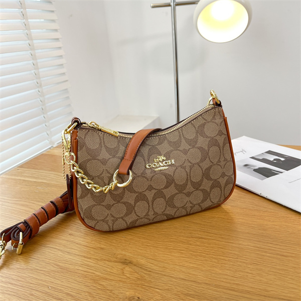Coach small bag-0159