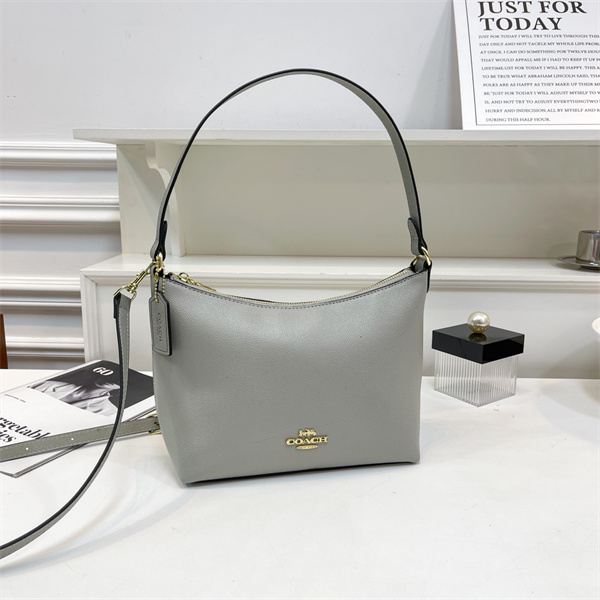 Coach small bag-0165