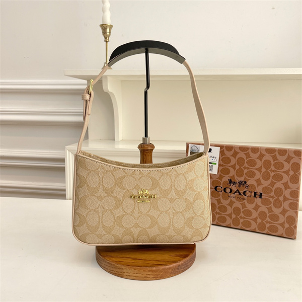Coach small bag-0167