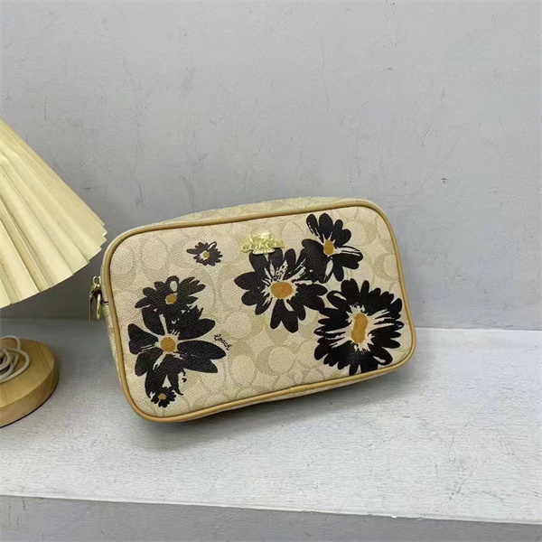 Coach small bag-0175