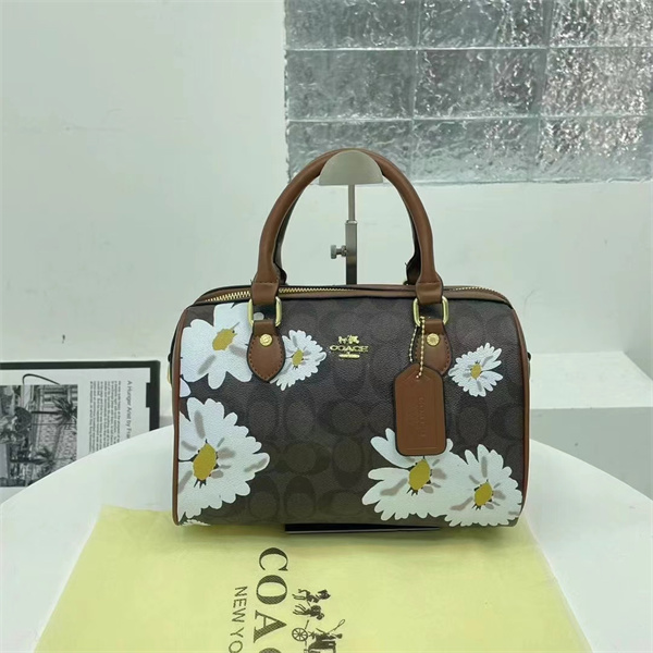 Coach small bag-0178