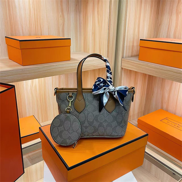 Coach small bag-0187