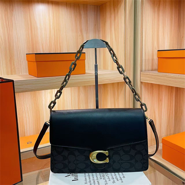 Coach small bag-0193