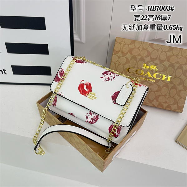 Coach small bag-0195