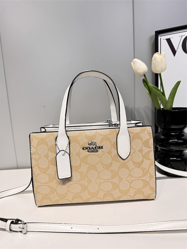 Coach small bag-0200