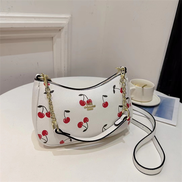 Coach small bag-0207