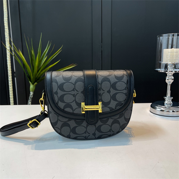 Coach small bag-0219