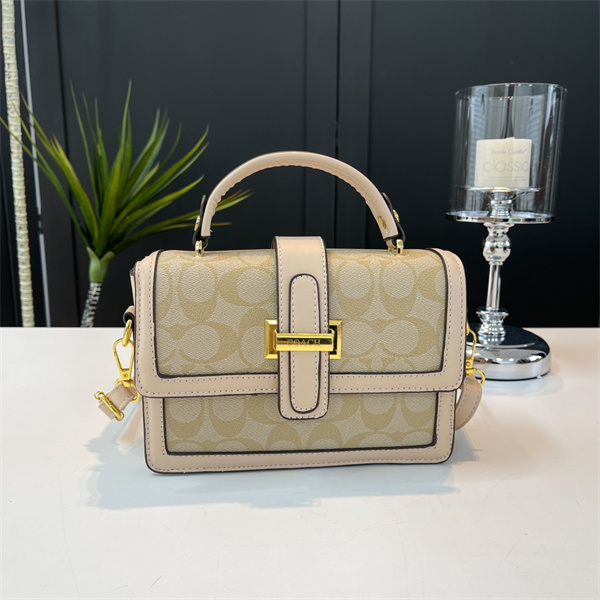Coach small bag-0222