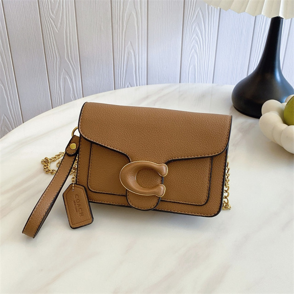 Coach small bag-0226