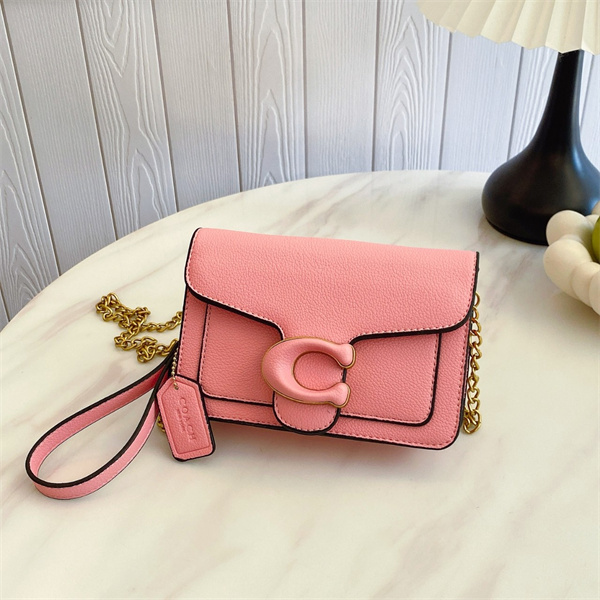 Coach small bag-0229