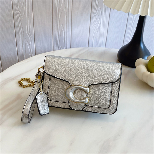 Coach small bag-0233