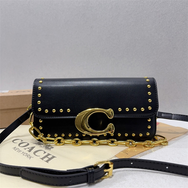 Coach small bag-0238