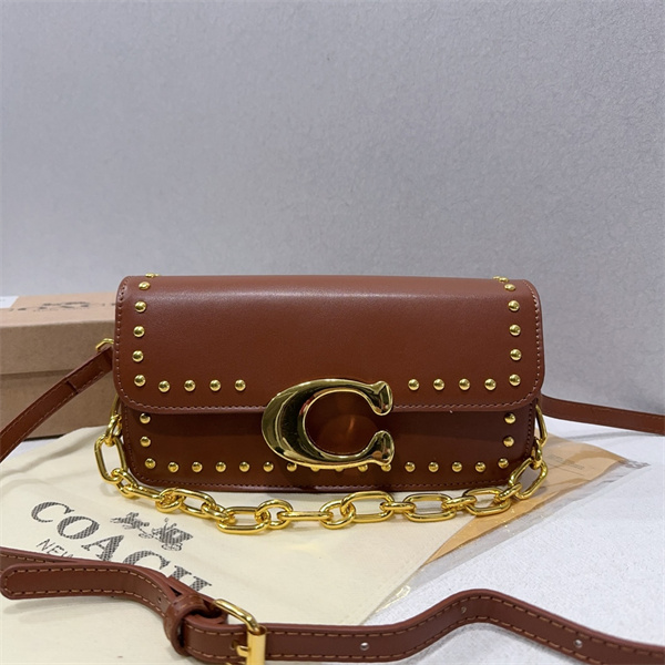 Coach small bag-0241