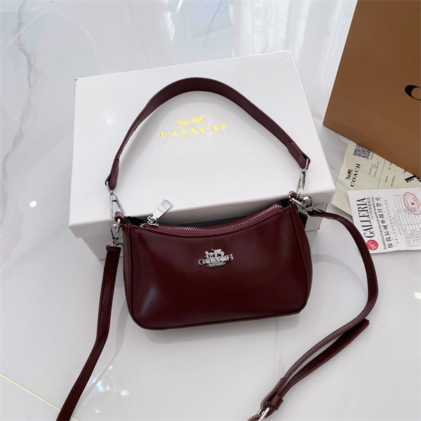 Coach small bag-0271