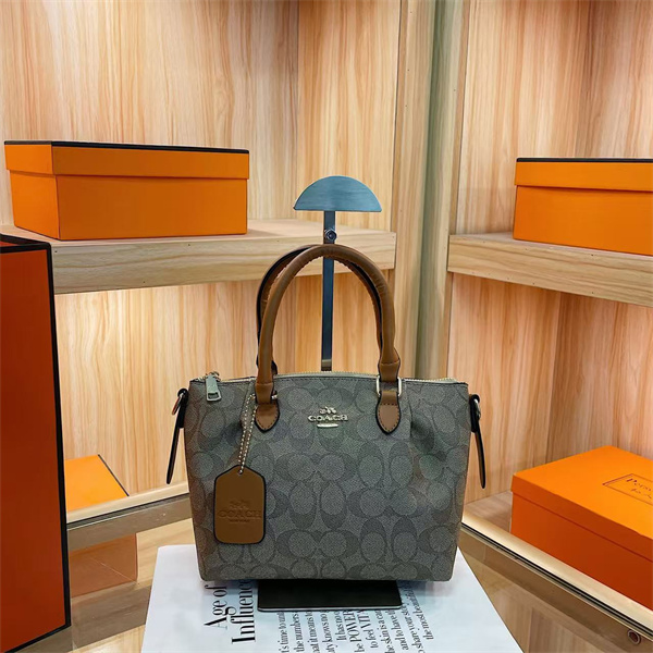 Coach small bag-0283