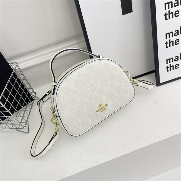 Coach small bag-0304