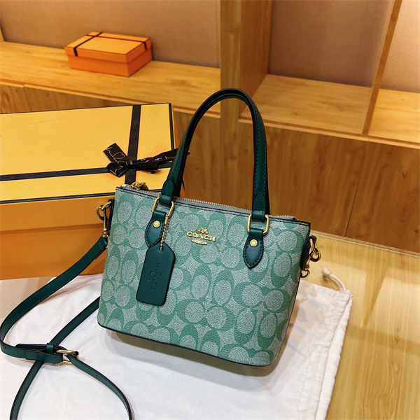 Coach small bag-0310