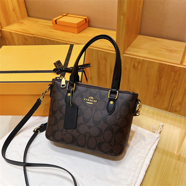 Coach small bag-0324