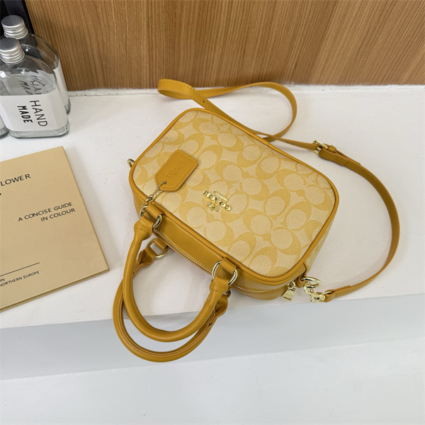 Coach small bag-0314