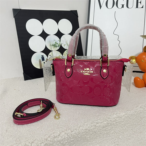 Coach small bag-0327