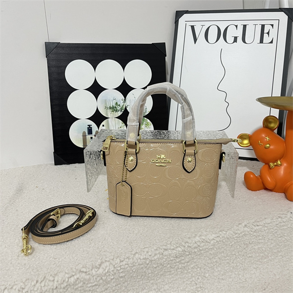 Coach small bag-0331