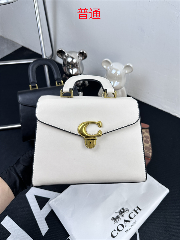 Coach small bag-0338