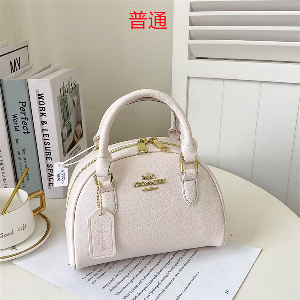 Coach small bag-0352