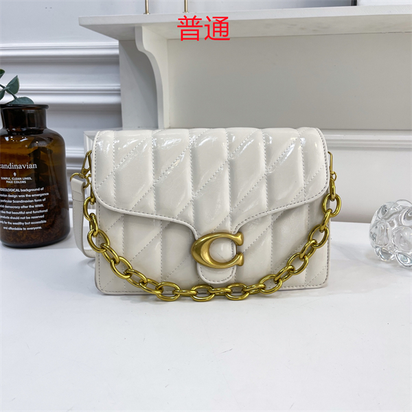 Coach small bag-0355