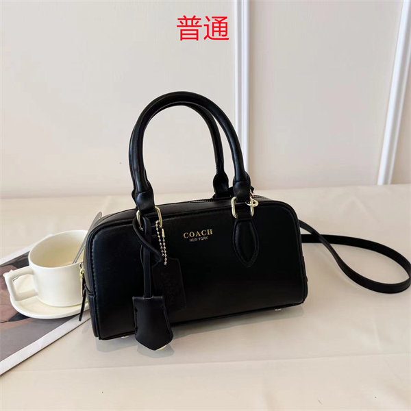 Coach small bag-0379