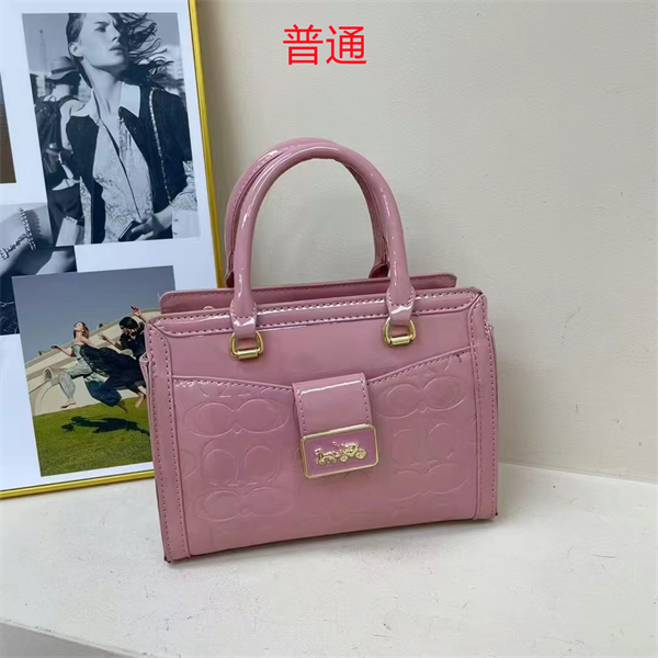 Coach small bag-0390