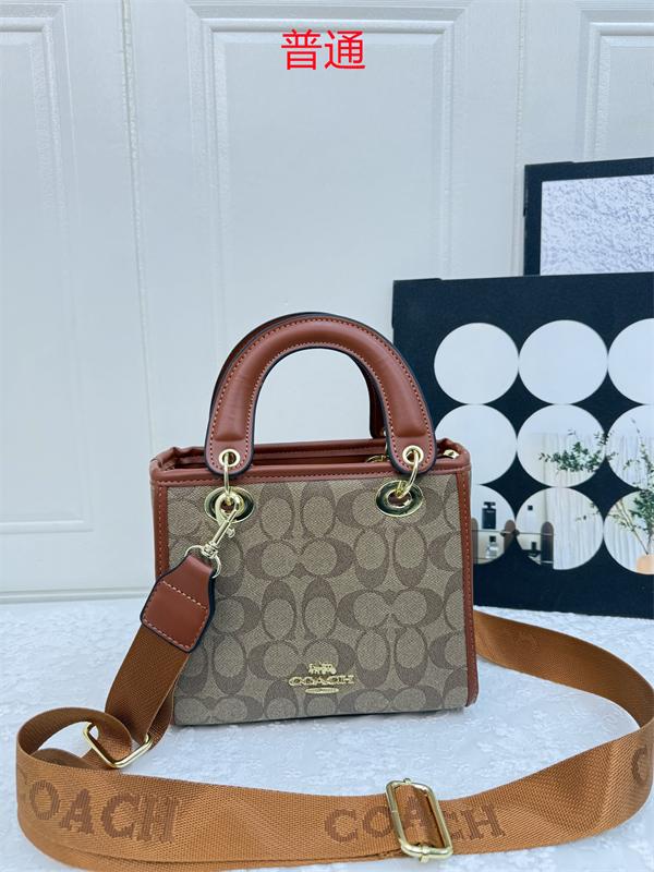 Coach small bag-0393