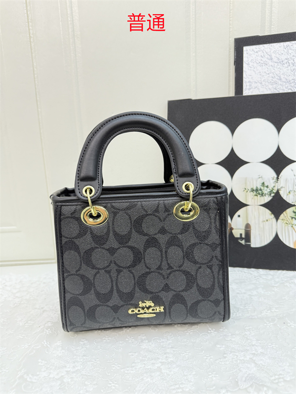 Coach small bag-0399