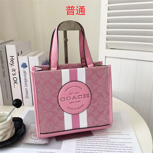 Coach small bag-0403