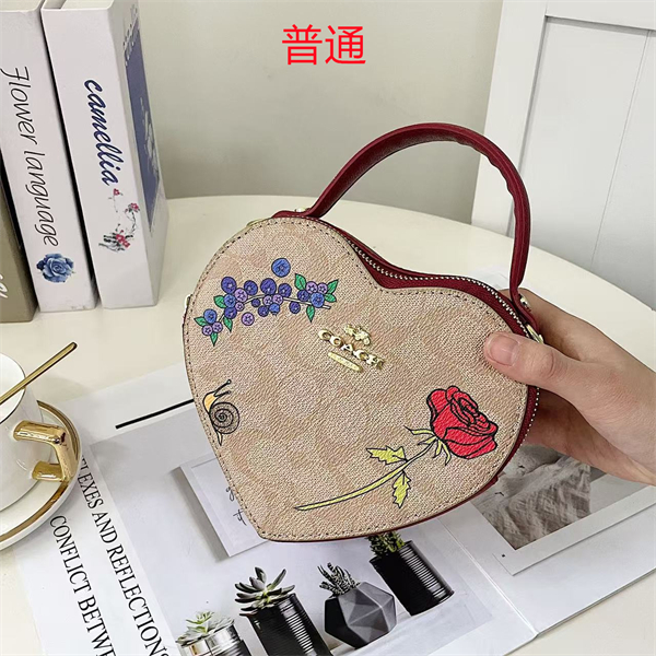 Coach small bag-0413