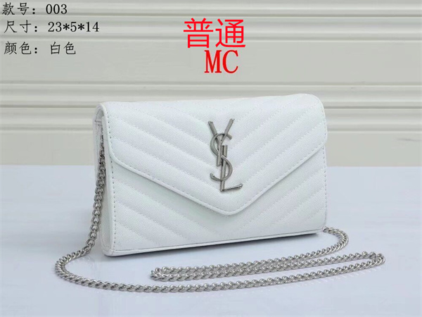 YSL small bag-0123