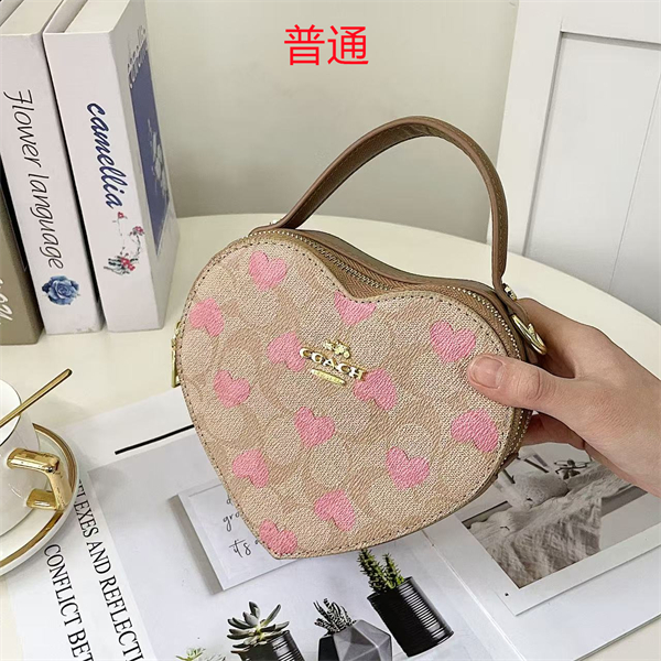 Coach small bag-0417