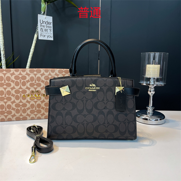 Coach small bag-0431