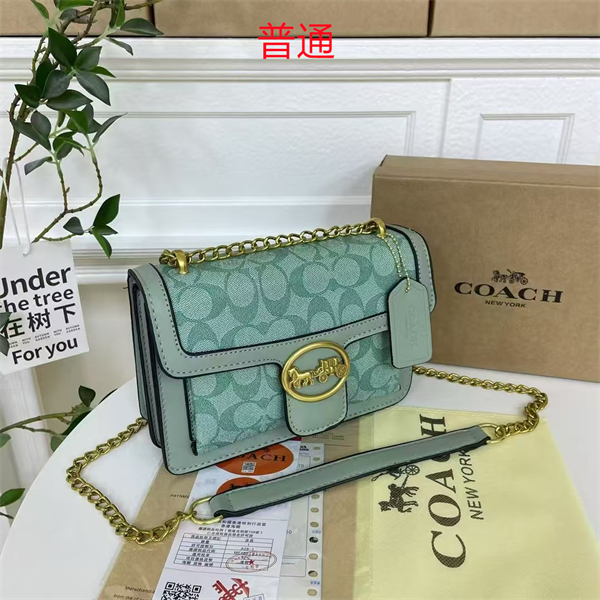 Coach small bag-0438
