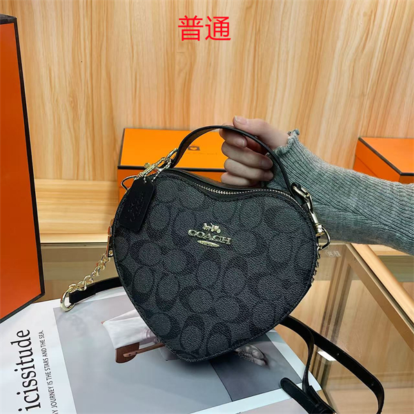 Coach small bag-0447