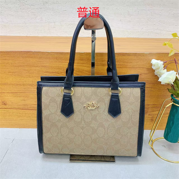 Coach small bag-0449