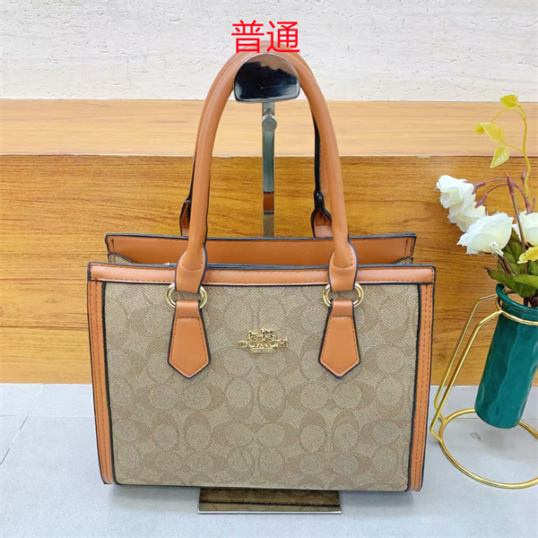 Coach small bag-0450