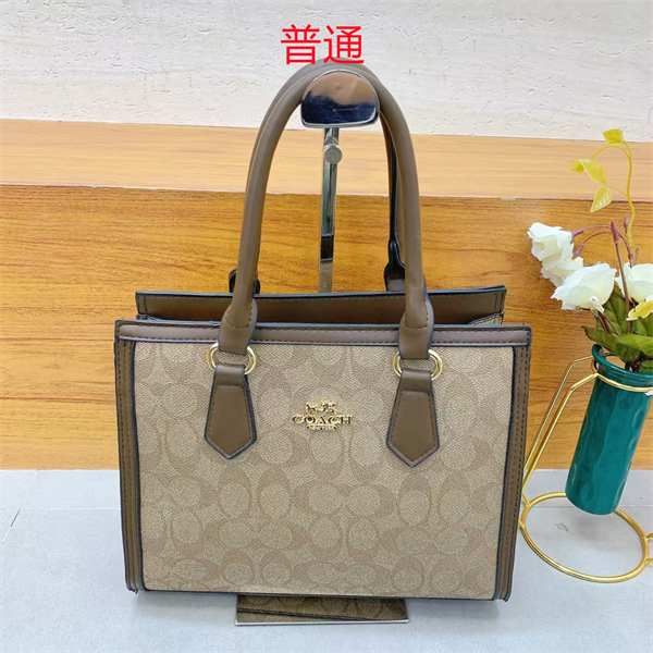 Coach small bag-0451