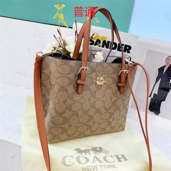 Coach small bag-0457
