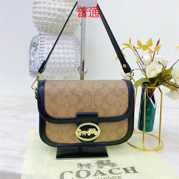 Coach small bag-0459