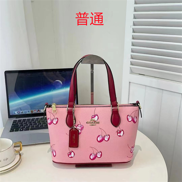 Coach small bag-0484