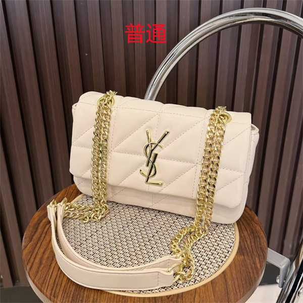 YSL small bag-0171