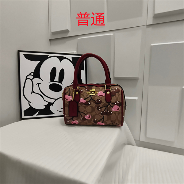 Coach small bag-0492
