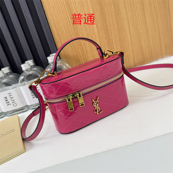 YSL small bag-0179