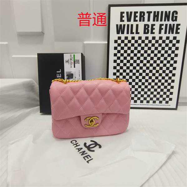 Chanel small bag-0154